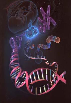 ükleoproteinlerin Yapısı