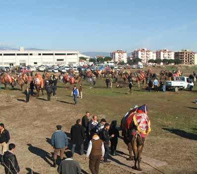 1. GİRİŞ Asya ve Avrupa arasındaki coğrafik konumu nedeni ile Türkiye, binlerce yıldır uluslar, kültürler ve medeniyetler arasında bir köprü işlevi görmüştür.