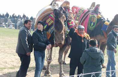 Güreşleri (3 Mart 2013) (üstte)