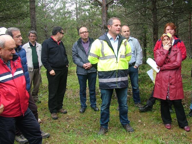 Arazi çalışmalarının ilk gününde Kastamonu Orman Bölge Müdürlüğü ne bağlı Karadere Orman İşletme Müdürlüğü sınırları içerisindeki Kaşçılar Orman İşletme şefliği ziyaret