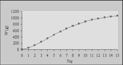 Çizelge 5. Gümüşi havuz balığının eşeylere ve yaş gruplarına göre ölçülen ve hesaplanan ortalama boy değerleri. Table 5.