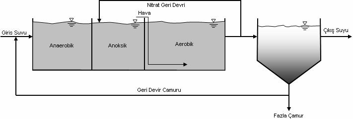 24 Şekil 3.8 A 2 /O prosesinin şematik görünümü 3.5.3 Bardenpho Prosesi (5 Kademeli) Bardenpho prosesi Şekil 3.9 da şematik olarak gösterilmektedir.