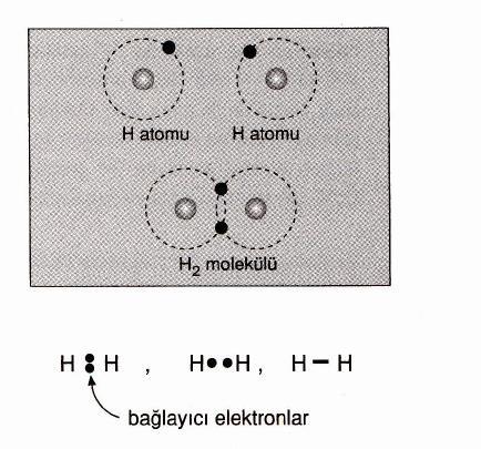 H 2 molekülünün bağ yapısını incelersek; H 2 molekülünü oluşturan H atomlarının atom numarası 1'dir. H 2 moleküllerini oluşturan H atomlarının birer elektronları vardır.