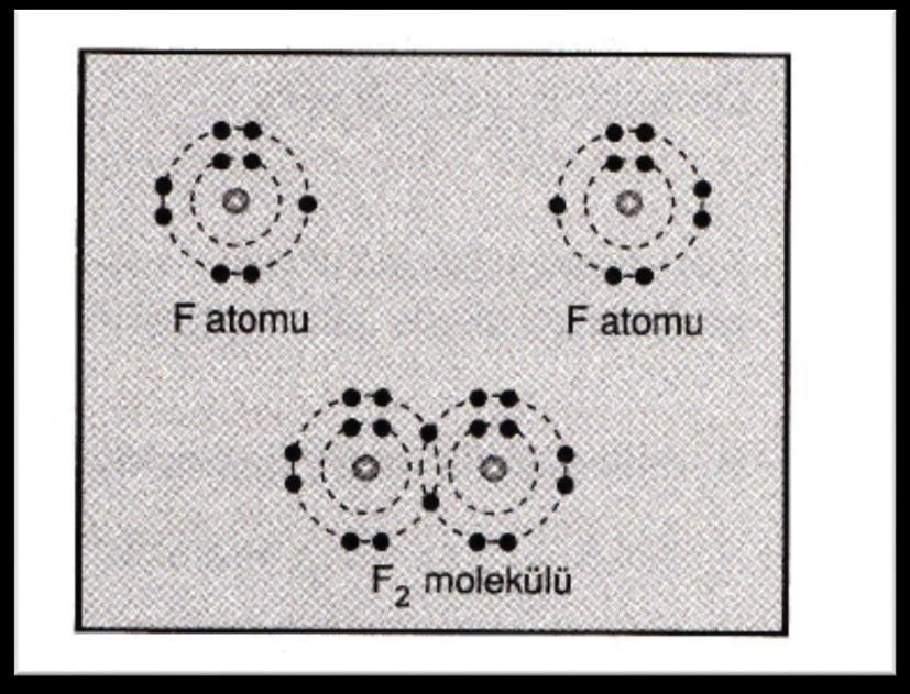F 2 molekülünün bağ yapısını incelersek; F 2 molekülünü oluşturan F atomlarının atom numarası 9'dur. F atomu son katmanına 1 elektron aldığında soygaz elektron düzenine ulaşır.