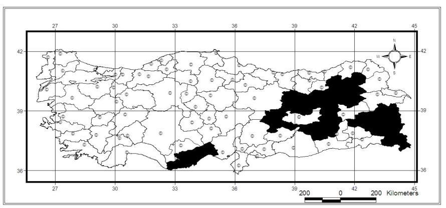 156 Türkiye yayılışı: Malatya [Heyden,1888]; Türkiye [Winkler, 1924-1932; Danilevsky & Miroshnikov, 1985; Lodos, 1998]; Taurus Musaria puncticollis v.