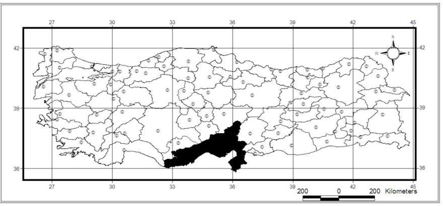 177 Dünya yayılışı: Türkiye. Korotip: Anatolian. Yorumlar: Bu endemik tür sadece Türkiye nin güney kısımlarından bilinmektedir. Harita 3.55.