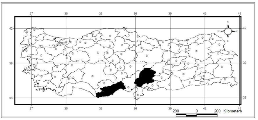 69 Dünya yayılışı: Türkiye, Suriye. Korotip: SW-Asiatic (Syro-Anatolian). Yorumlar: Bu tür Türkiye de sadece güney kısımlarda bir yayılışa sahiptir. Osmaniye ili için yeni kayıttır. Harita 3.19.