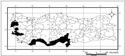 75 Dünya yayılışı: Yunanistan, Kıbrıs, Türkiye, Suriye. Korotip: E-Mediterranean (Palaestino-Cyprioto-Taurian + Aegean).