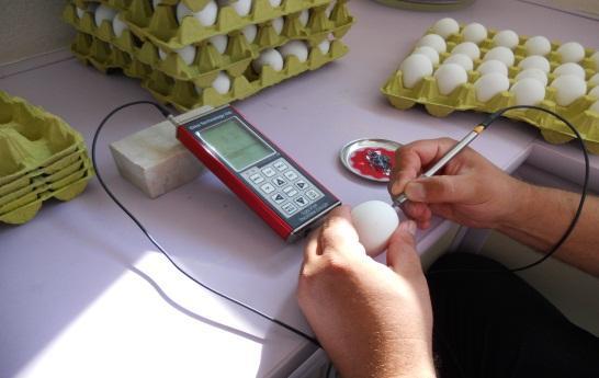 18 ġekil 3.4. Yumurtanın kabuk kalınlığının ölçülmesi Yumurta Haugh birimi: SANOVO marka Egg Analyzer cihazı ile Haugh birimi = 100 Log (Ak yüksekliği+7.57-1.7yumurta ağırlığı 0.