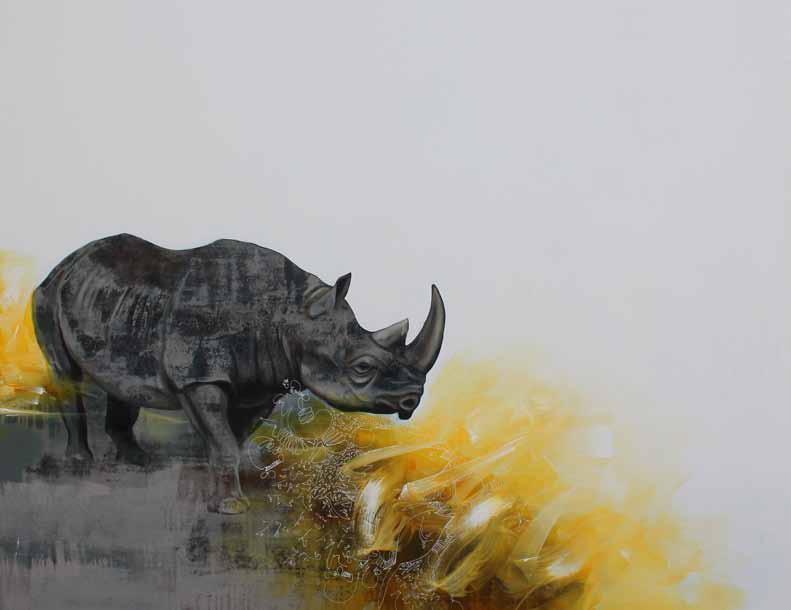 Rhino, 2016