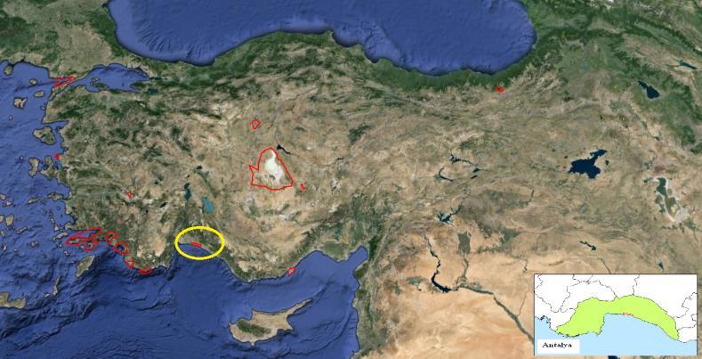 3. BELEK ÖÇKB MUTLAK KORUMA ALANLARININ MEKANSAL ANALİZİ Belek Özel Çevre Koruma Bölgesi Türkiye nin güneyinde Antalya ilinde yer almaktadır.