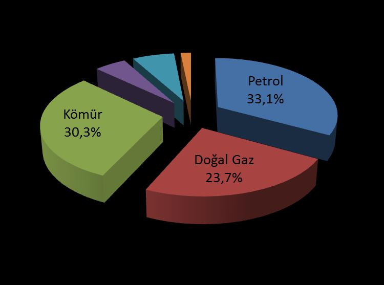 Dünya Birincil Enerji