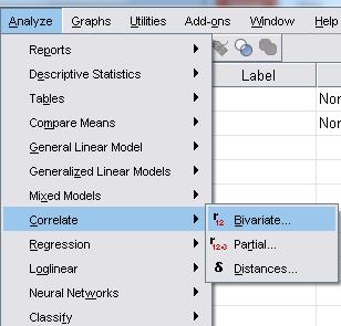 Açılan SPSS ekranında bivariate (ikili) ve Partial (kısmi) olmak üzere iki korelasyon türü karşımıza çıkmaktadır.