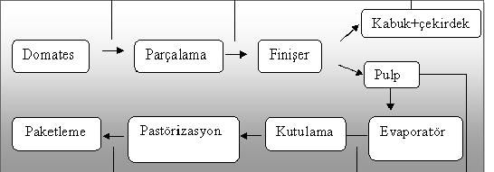 Şekil 1. Salça üretim basamakları Şekil 2. Domates ve salça için LC- QTOF -MS sonuçlarının karşılaştırılması basamaklarından etkilenen bileşikler farklı kütle sinyalleri ile ortaya konmuştur.