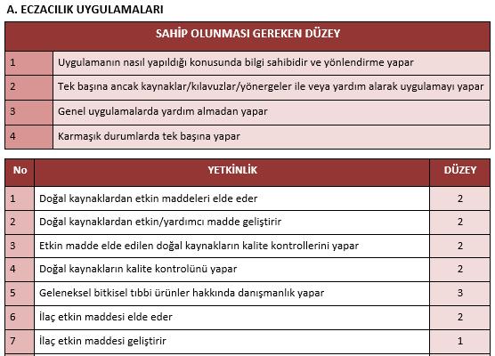 EczÇEP-2015 in Temel Yapısı Eczacılık Yetkinlikleri (234 adet) aşağıdaki alt başlıklar şeklinde sıralanmıştır: a. Eczacılık Uygulamaları (169 adet) b.