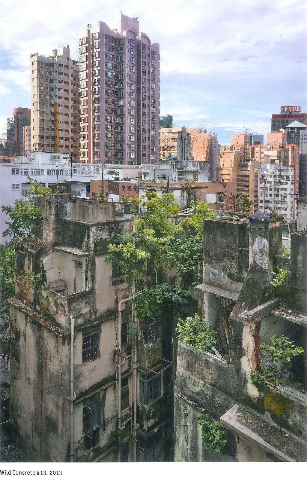 Beni öylesine etkileyen, bir başka deyişle aydınlatan bu fotoğraflar, dünyanın en kalabalık şehirlerinden biri olan Hong Kong da çekilmişler.