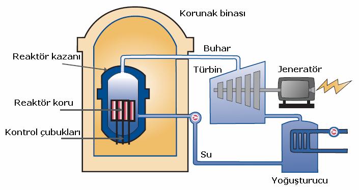 Kaynar Su Reaktörü (BWR) Boiling Water Reactor BWR reaktörlerinde kontrol çubukları üstte değil reaktörün tabanında yer alır.