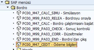 Gerekli seçim kriterleri belirlenerek yürütme işlemi yapıldığında seçim kriterlerine bağlı olarak personele ait bordro zarfı çıktı almak için uygun