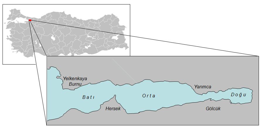 Şekil 1. Çalışma alanı. Körfez civarında, Marmara Bölgesi nde olduğu gibi, son otuz yıldır hızlı bir sanayileşme ve buna paralel olarak gelişen yoğun bir kentleşme yaşanmaktadır.