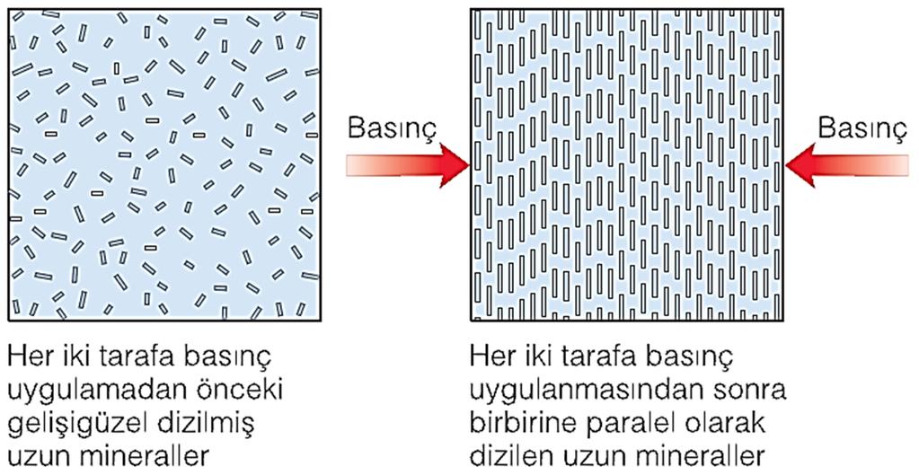 typically have minerals arranged in a parallel fashion, giving them a