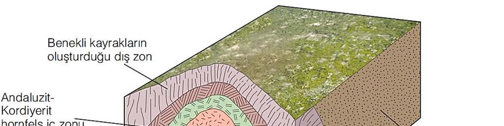 (Monroe&Wicander, 2005) Metamorfik hale (metamorphic aurole) tipik olarak magmatik sokulumu çevreler.