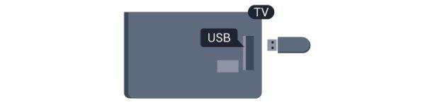 Bir yayını Internet'ten TV rehberi verileriyle birlikte kaydetmek istiyorsanız USB Sabit Sürücüyü kurmadan önce TV'nize Internet bağlantısı kurmanız gerekir.