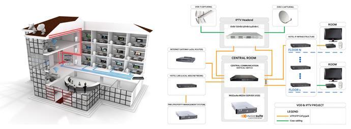 ARNET IP