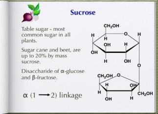 glukozdan meydana gelir ( -1,4) Doğada nadiren rastlanmaktadır Nişastadan asit hidrolizi yada b-amilaz enzim hidrolizi ile elde edilir.