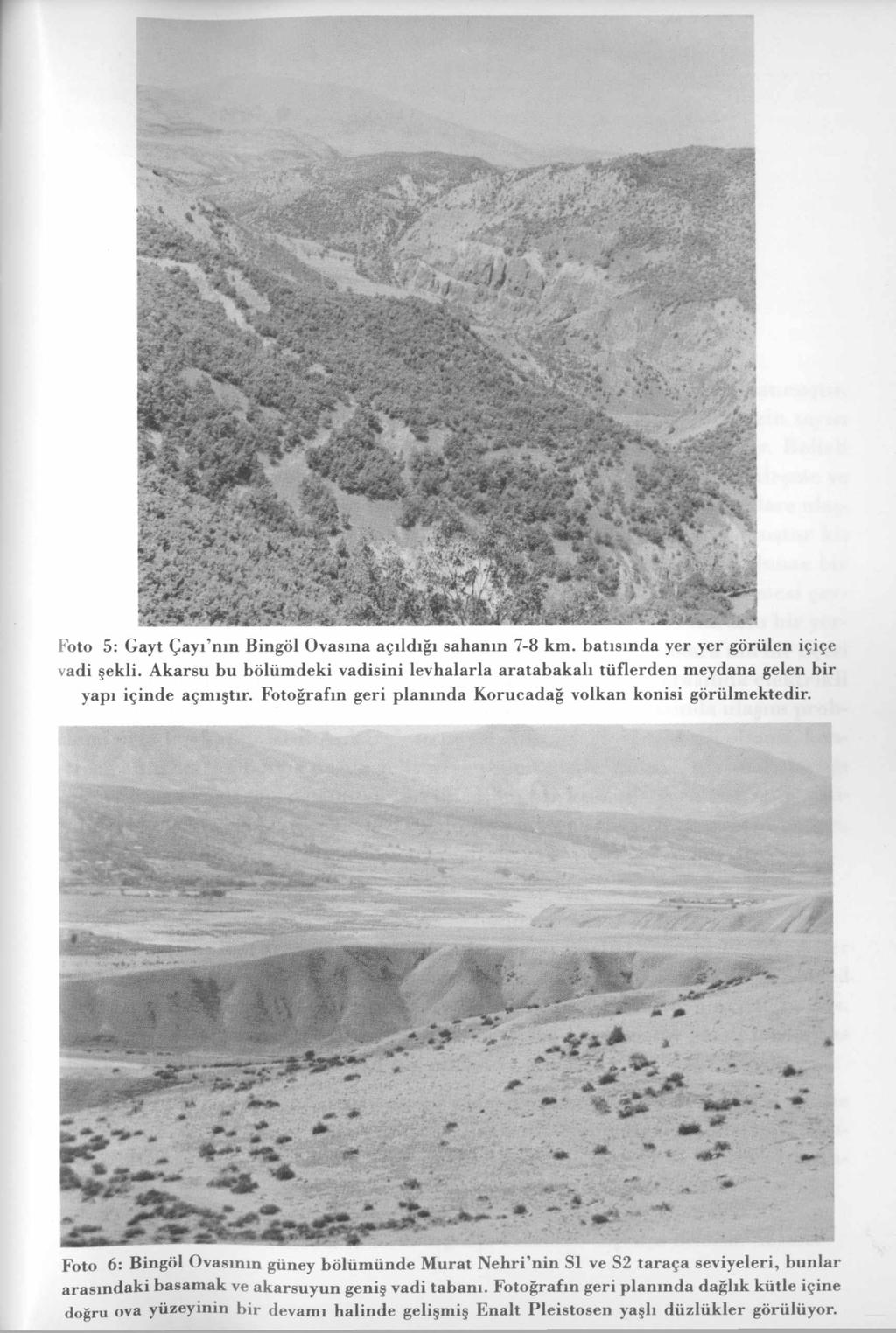 Foto 5: Gayt Çayı'nın Bingöl Ovasına açıldığı sahanın 7-8 km. batısında yer yer görülen içiçe vadi şekli.