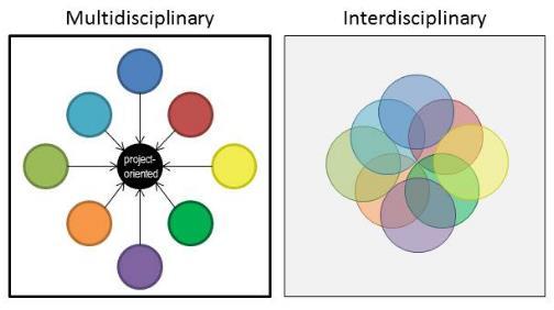 Multidisipliner / İnterdisipliner Adams, R.S. & Forin, T. (in press, 2013). Working together across differences. In B.