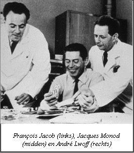 Santral Dogma Kavramı Francois Jacob, Jacques Monod ve Andre Lwoff tarafından 1961 yılında DNA daki bilgilerin tek zincirli RNA yolu ile