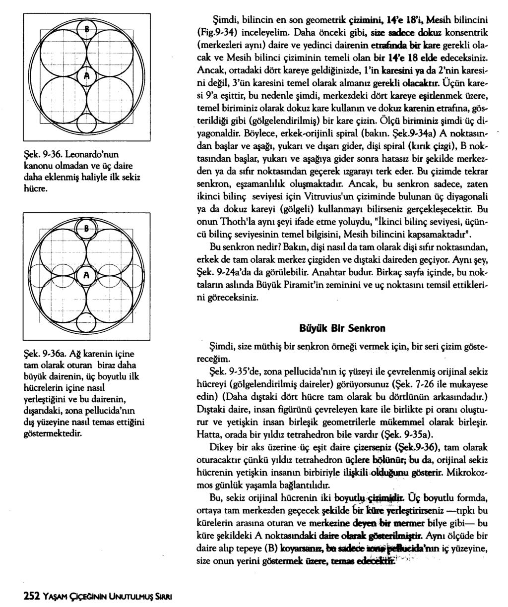 Şek. 9-36. Leonardo nun kanonu olmadan ve üç daire daha eklenmiş haliyle ilk sekiz hücre. Şimdi, bilincin en son geometrik çizimini, 14 e 18 i, Mesih bilincini (Fig.9'34) inceleyelim.