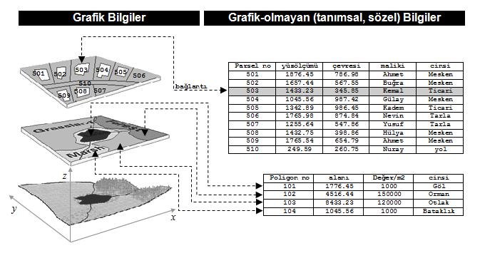 Grafik ve Grafik-olmayan Bilgiler Coğrafik veriler, özellikleri itibariyle iki değişik şekilde ifade edilirler. Bunlar, grafik ve grafik olmayan bilgiler şeklindedir.