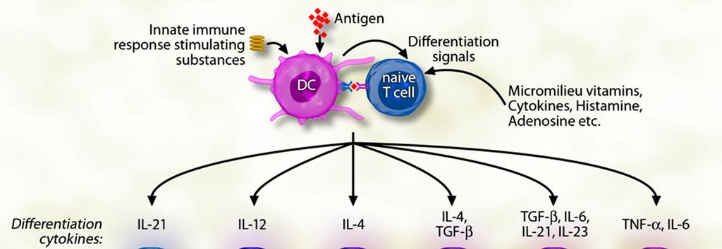 Fig 2 Source: Journal of Allergy and Clinical