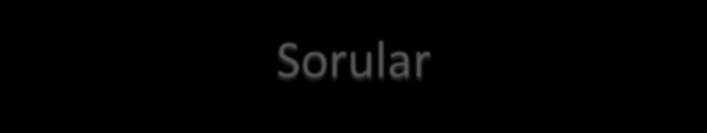 Sorular