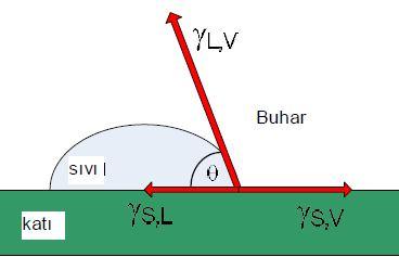 Katı ve sıvı faz arasındaki (γs,l), katı ve buhar fazı arasındaki (γs,v) ve sıvı ile buhar fazı arasındaki (γl,v) kuvvetler tüm yüzey gerilimini