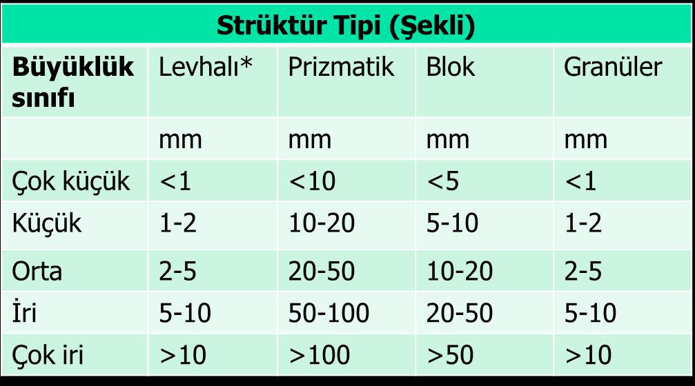 Strüktür şekli ve büyüklüğü ilişkileri *Levhalı