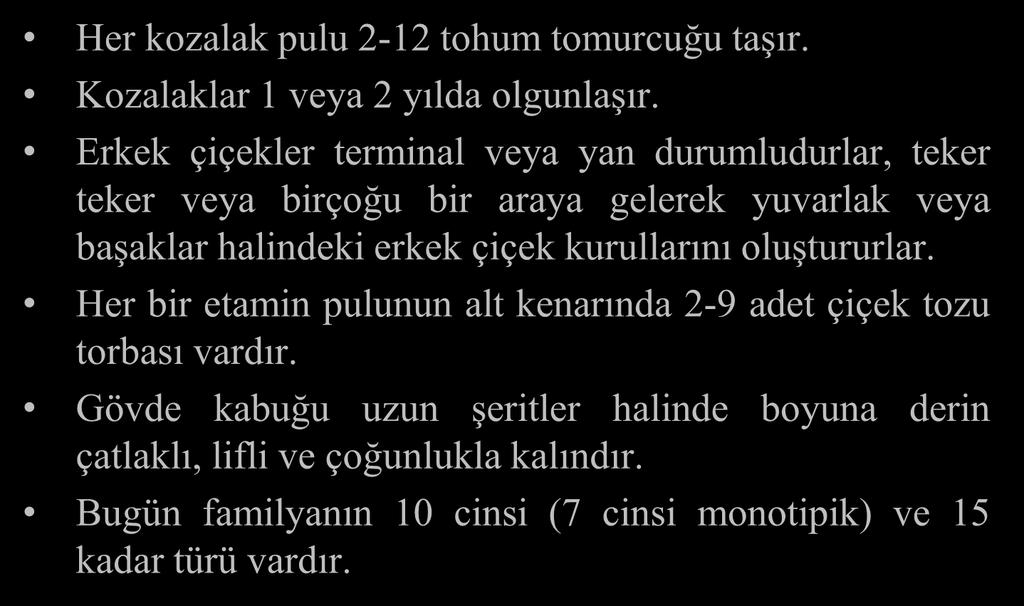 TAXODIACEAE Her kozalak pulu 2-12 tohum tomurcuğu taşır. Kozalaklar 1 veya 2 yılda olgunlaşır.