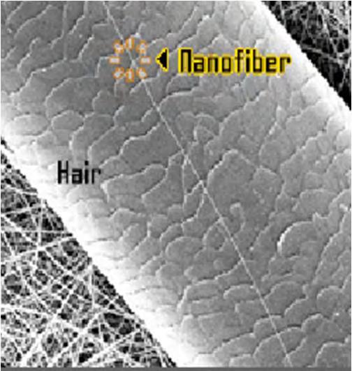 nanofibers) Elektro üretim yöntemiyle elde edilen nanoliflerin yüzey alanı lif