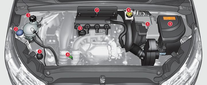 KONTROLLER BENZINLI MOTORLAR 10 Değişik sıvıların seviyelerinin kontrolüne ve bazı elemanların değişimine erişim sağlar. 1. Hidrolik direksiyon deposu. 2.