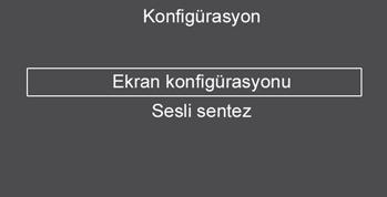 Bu uygulamalar hakkında daha fazla detay için, "Audio ve Telematik" başlığına bakınız. Bu menüye ulaşmak için "SETUP" tuşuna basınız.