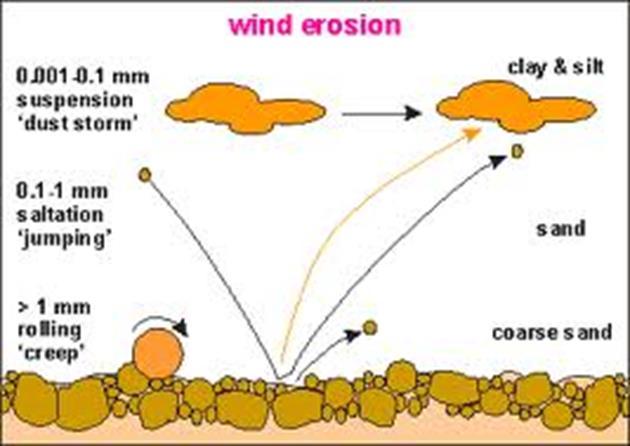 Rüzgar Erozyonu Üç tip toprak hareketi vardır: 1.