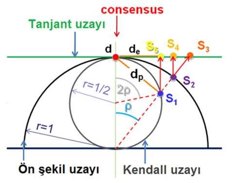 Şekil 2.5 Tanjant ve Kendall şekil uzayının matematiksel gösterimi (Zelditch vd.