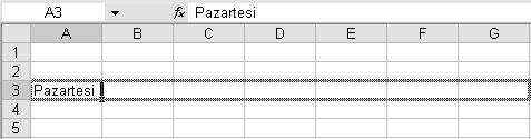 Bunun yanında Excel verilerin desenine göre doldurma işlemini yapacaktır.