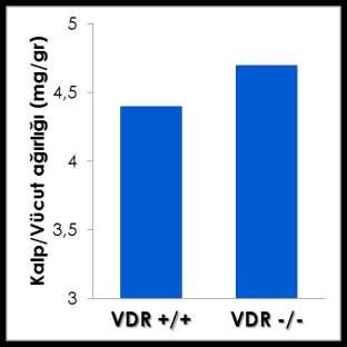 Am J Physiol 2003