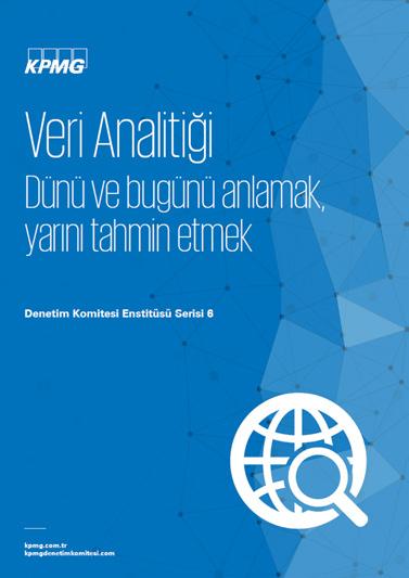 Denetim Komitesi Enstitüsü Serisi 11 İç denetim