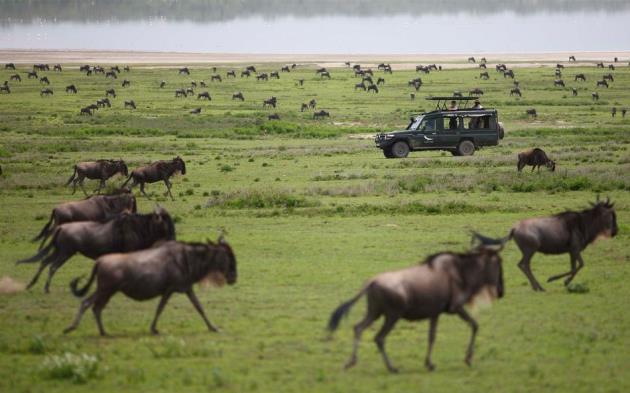 9.Gün : Serengeti Gün boyu doğanın tadını çıkarmaya devam edeceksiniz.