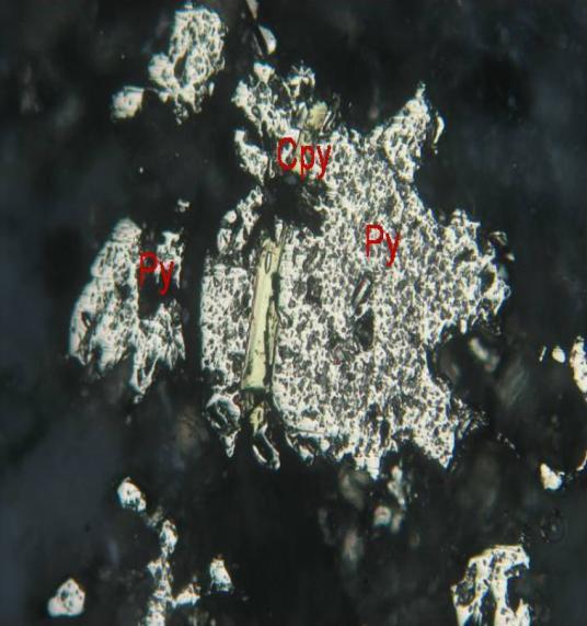 Volkanik kayaçlar içerisinde malahit, kalkopirit ve nadiren arjantit mineralleri gözlenmektedir.