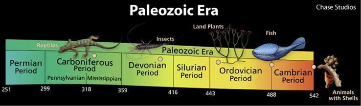 Kara üzerinde ilk arthropodlar (Siluriyen Dönemi) İlk kurbağalar /amfibialar (Devoniyen Dönemi) İlk sürüngenler ( Pensilvaniyen Dönemi or Karbonifer Dönemi) Pangea nın
