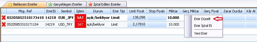 Emir düzeltme ekranı aşağıdaki gibi görünecektir.